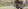 Foto: iStock. Pensioenhervorming: “Magnette is niet consequent ”